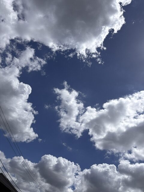 Summer Sky